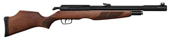 carabine Gamo Riser
