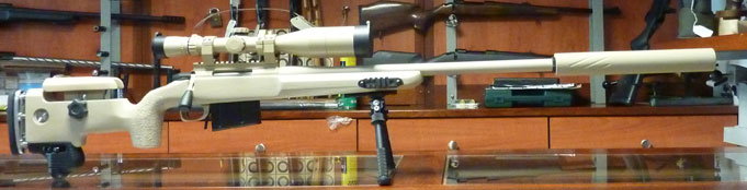Carabine Custom 284 win